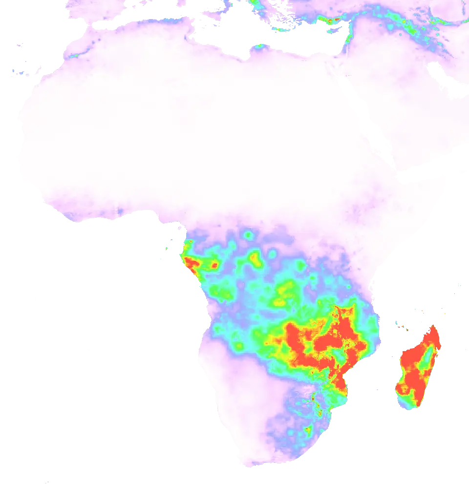 01 Feb 1981 00:00 UTC