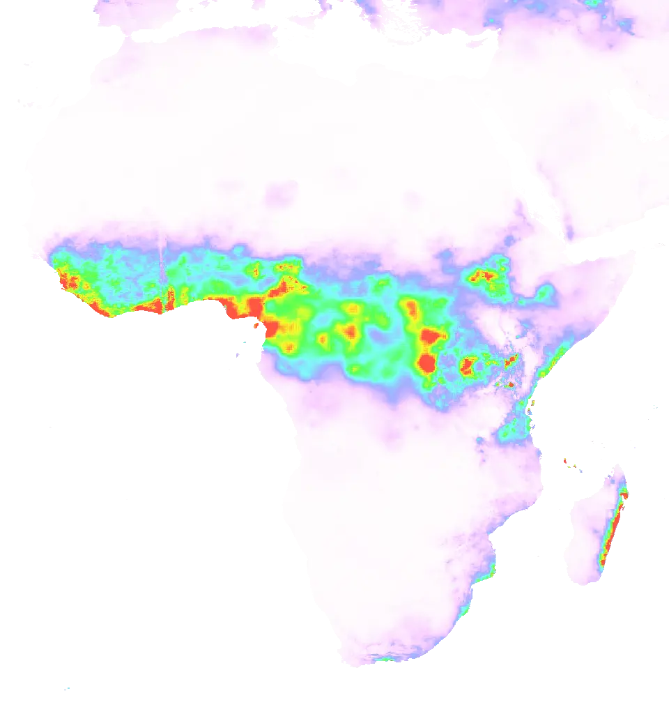 01 May 1981 00:00 UTC