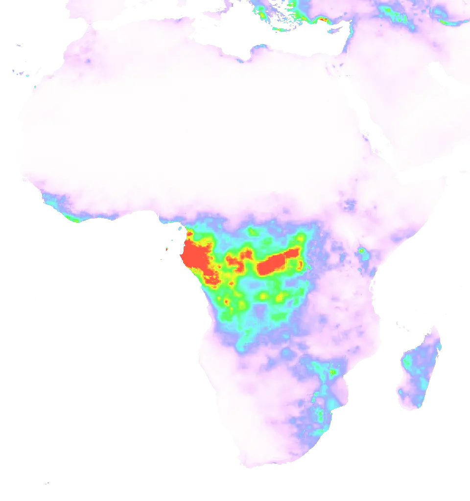 01 Nov 1981 00:00 UTC