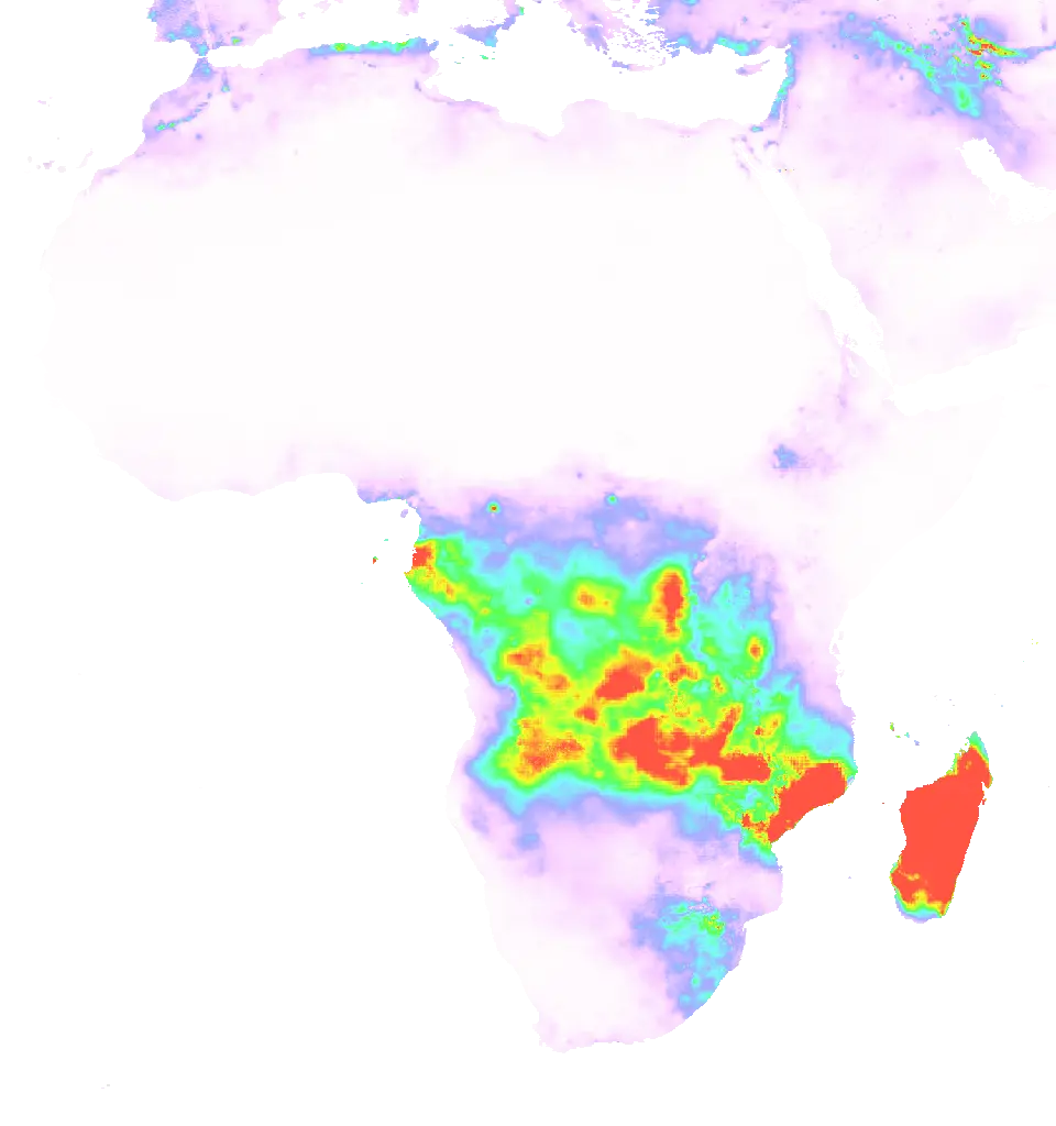 01 Jan 1982 00:00 UTC