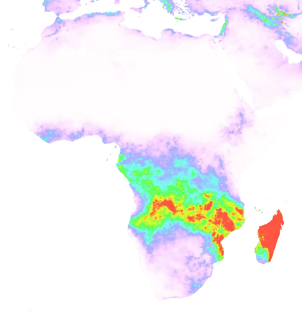 01 Feb 1982 00:00 UTC