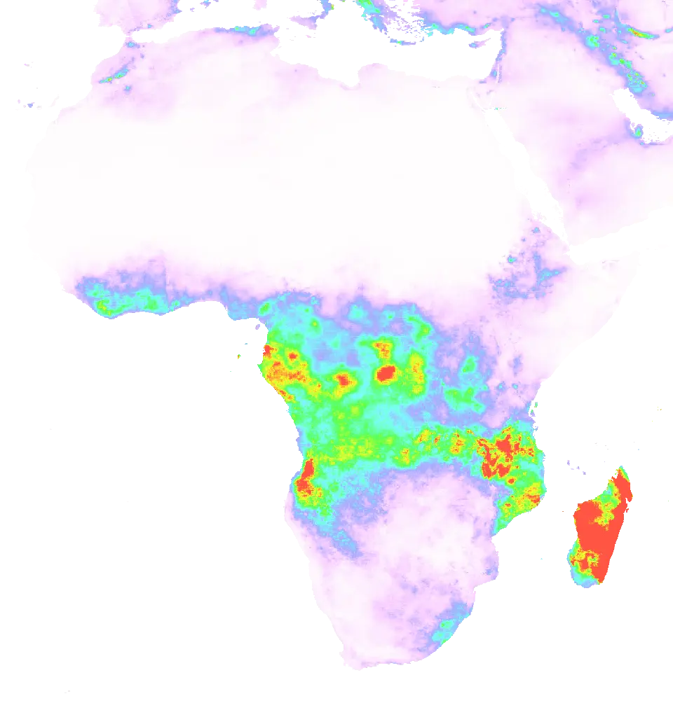 01 Mar 1982 00:00 UTC
