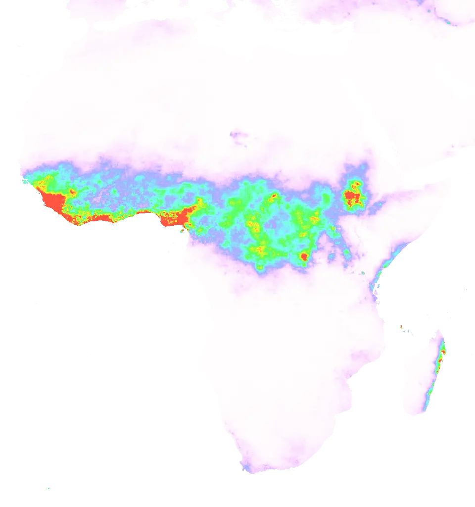 01 Jun 1982 00:00 UTC