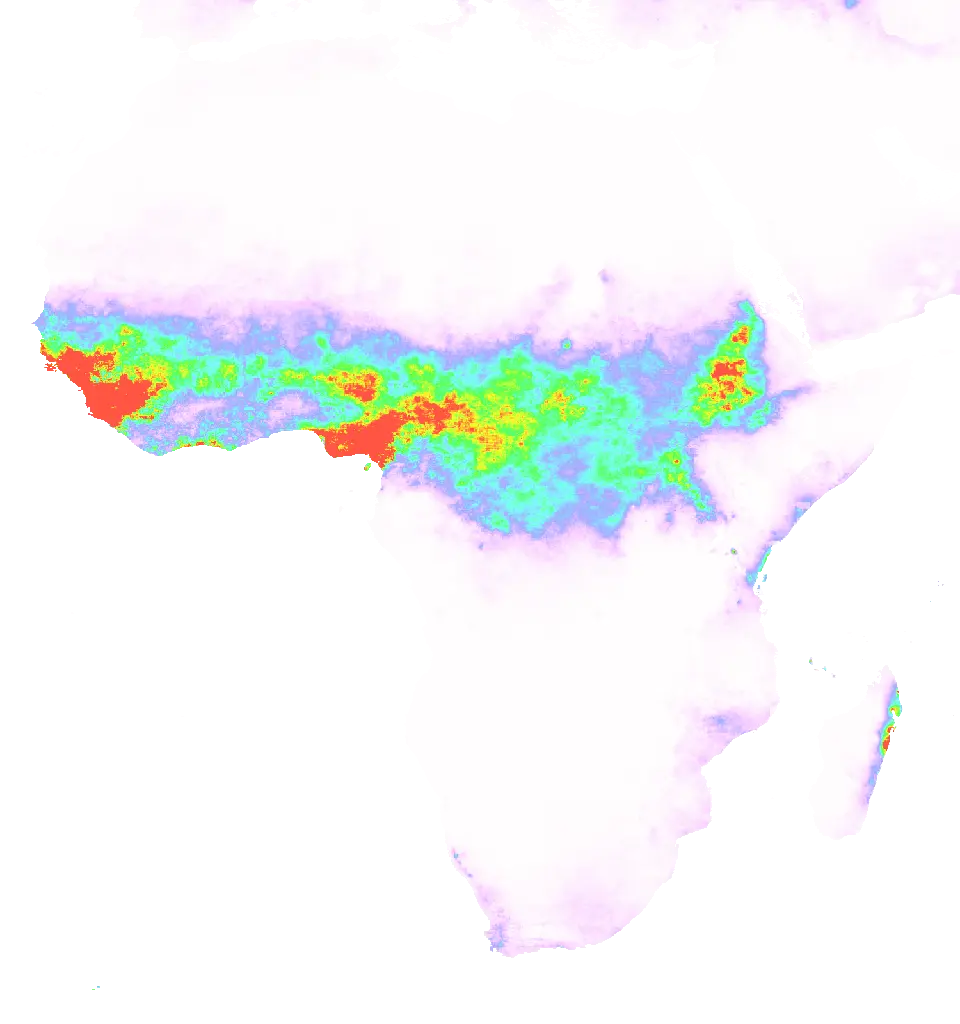 01 Jul 1982 00:00 UTC
