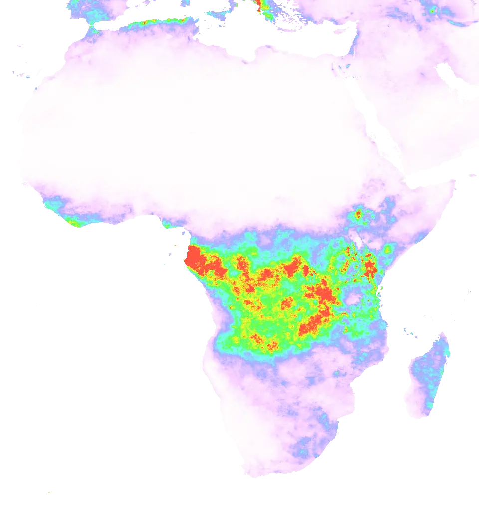 01 Nov 1982 00:00 UTC