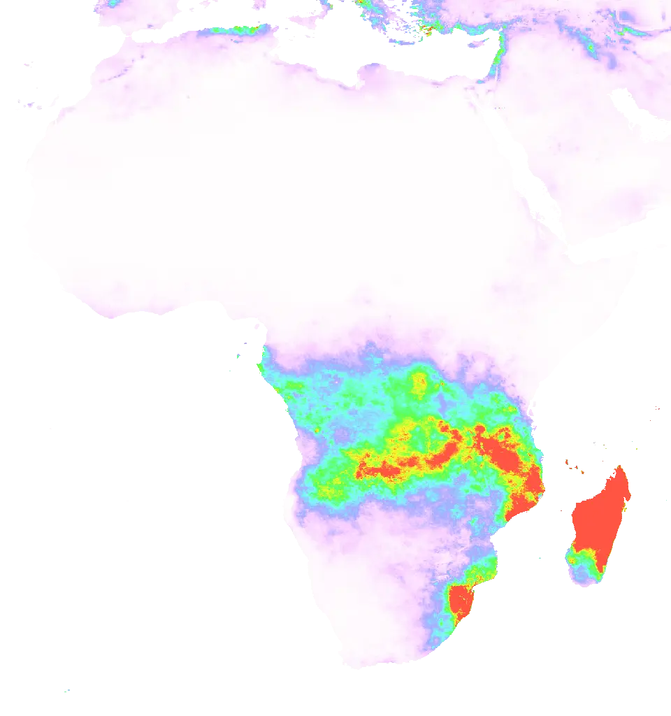 01 Jan 1984 00:00 UTC