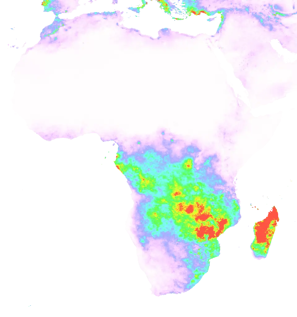 01 Jan 1985 00:00 UTC