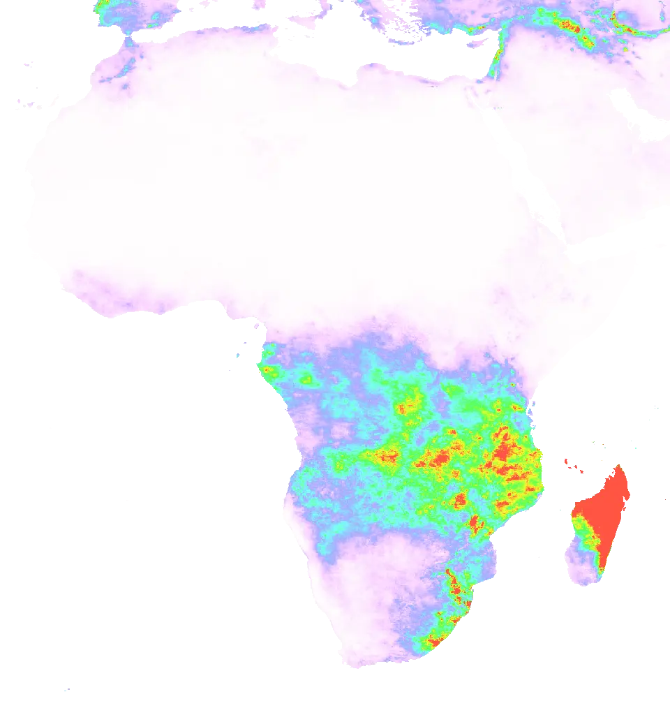 01 Feb 1985 00:00 UTC