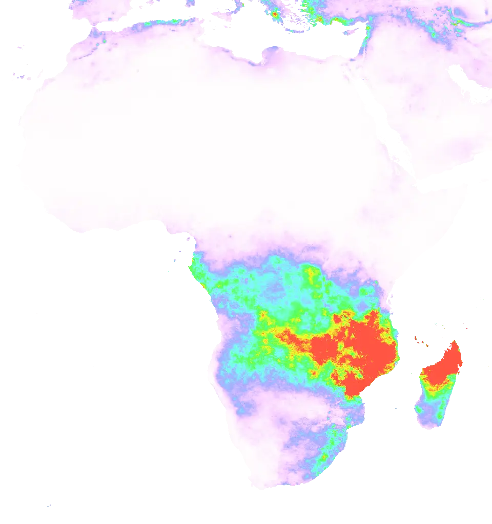01 Jan 1986 00:00 UTC