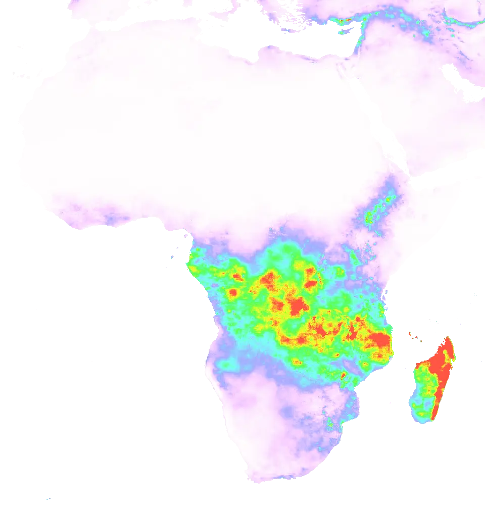 01 Feb 1990 00:00 UTC