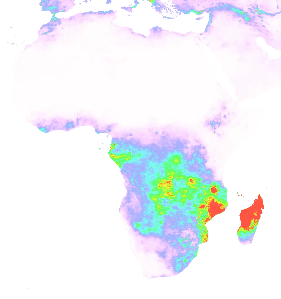 01 Feb 1991 00:00 UTC