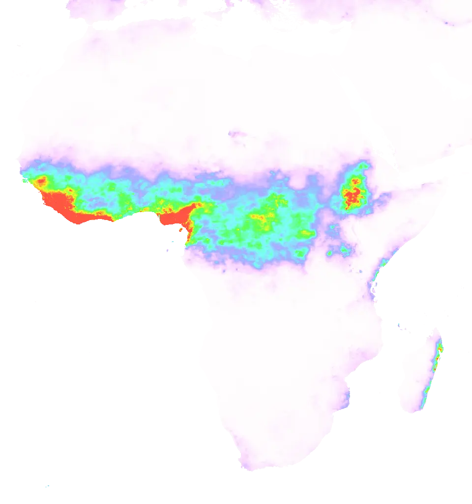 01 Jun 2006 00:00 UTC