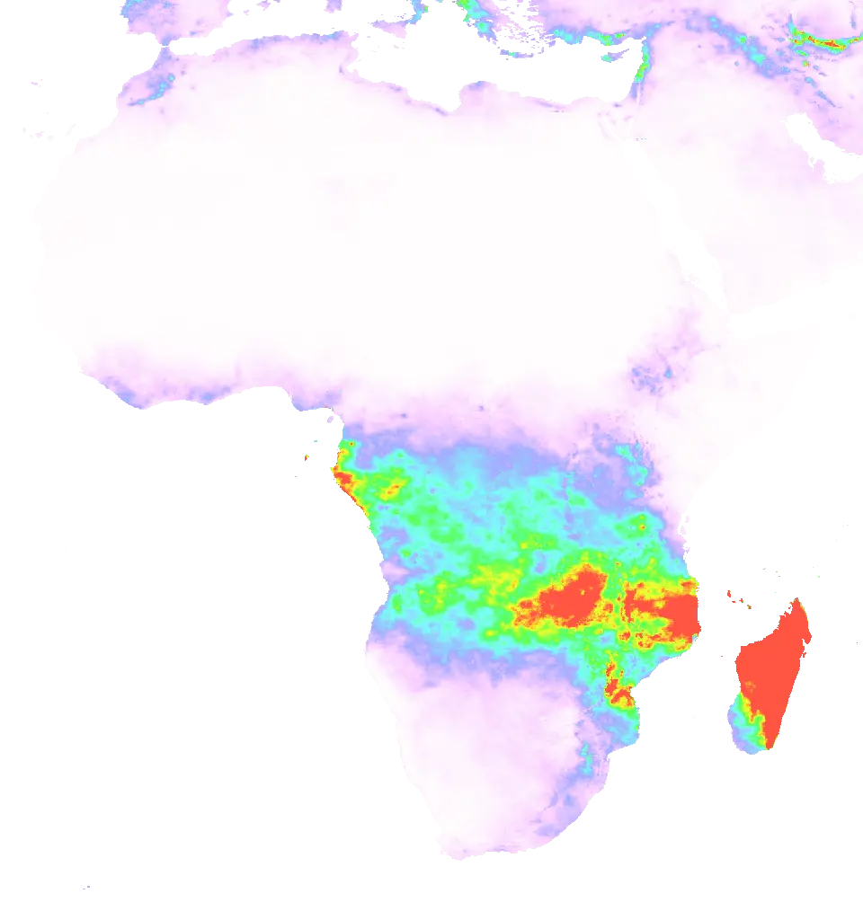 01 Feb 2007 00:00 UTC