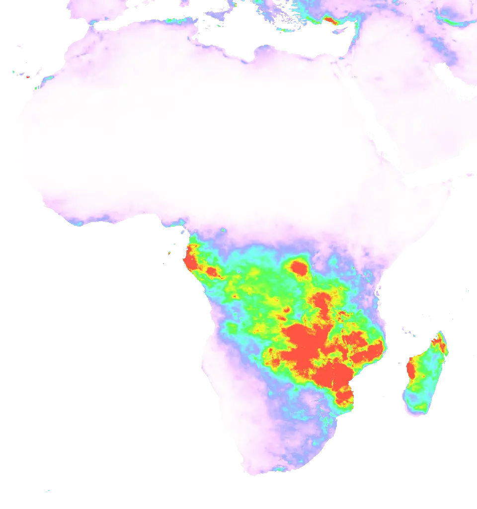 01 Dec 2007 00:00 UTC