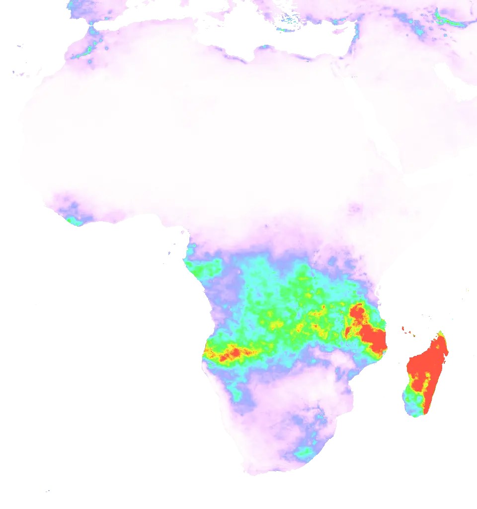 01 Feb 2008 00:00 UTC