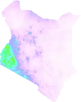 Precipitation