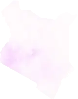Precipitation