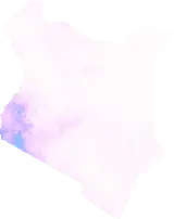Precipitation