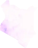 Precipitation