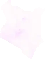 Precipitation