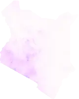 Precipitation
