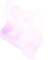 Precipitation