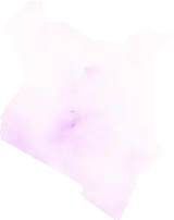 Precipitation